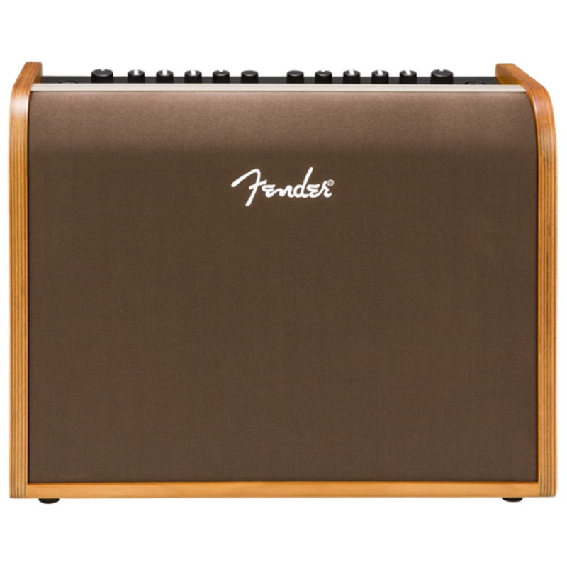 Fender Acoustic 100 - Gitarrenverstärker