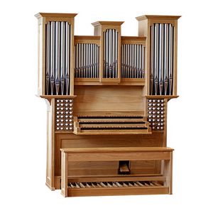 Eminent Positief 300 Organ