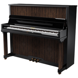 Pleyel P124MAC Acoustic Piano