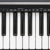 Roland A-49BK Midi Keyboard
