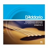 D'Addario EPBB170-5 - Akoestische Bassnaren