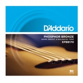 D'Addario EPBB170 - Strings for Acoustic Bass