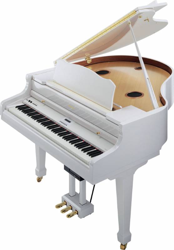 Roland RG-7 digitale pianovleugel (Occasion) 