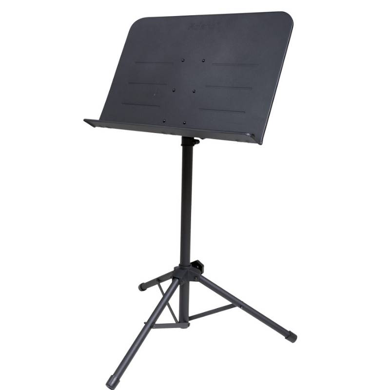 Roland RMS-10 Orchestra Lectern