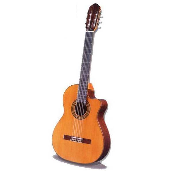 Raimundo 660e Pro-Blend Classical Guitar
