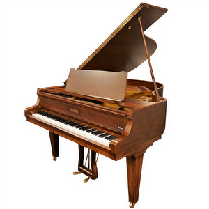 Pleyel 1.70 Occasion Vleugel (1973)