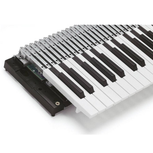 Content TP60LF Manual-Upgrade