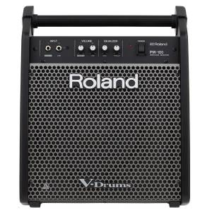 Roland PM-100 - Drummonitor