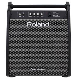 Roland PM-200 - Drummonitor