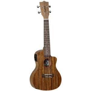 Tanglewood TWT12E - Concert Ukelele