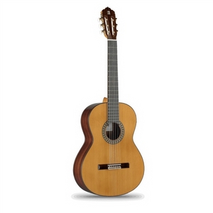 Alhambra 5P - Classical Guitar LH