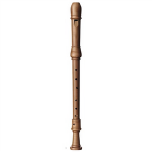 Aura BT10 Tenor Recorder