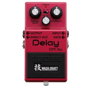 Boss DM-2W Delay