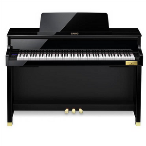 Casio GP-510PE – Occasion