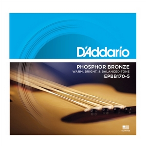 D'Addario EPBB170-5 - Saiten für akustische Bassgitarre