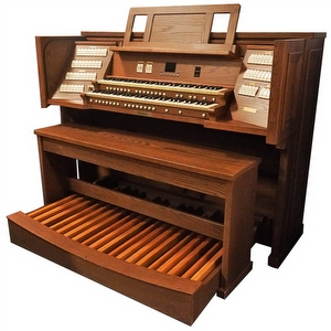 Domus Unico 300 Orgel Dark Oak
