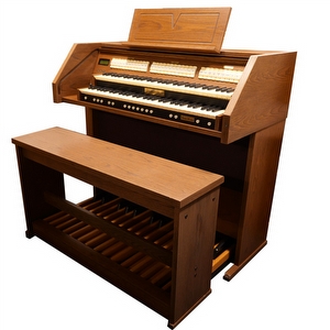 Domus Vivace 30 Occasion Orgel Blank Eiken