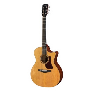 Eastman AC122-2CE - Auditorium