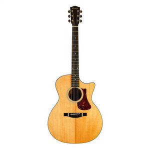 Eastman AC222CE DLX Naturel Western gitaar