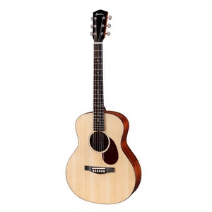 Eastman ACTG1 - Travel Gitaar