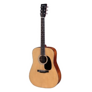 Eastman E10D-TC - Dreadnought Eastman E10D-TC - Dreadnought