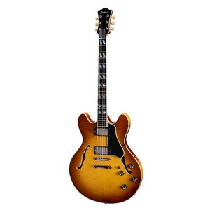Eastman T486 - Goldburst