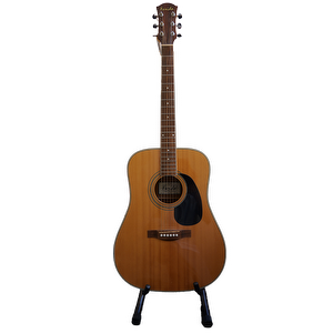 Farida D-9N - Used
