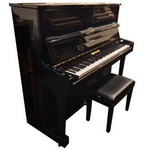 Perzina 1.30 Schwarz-Poliert - Gebraucht