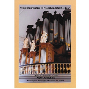 Geert Gringhuis - 087022