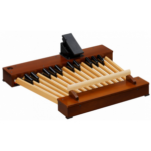 Hammond XPK-250WMK3 midi baspedaal