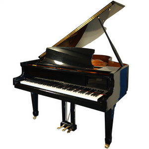 Hermann Jacobi GP160 Gebraucht Flügel