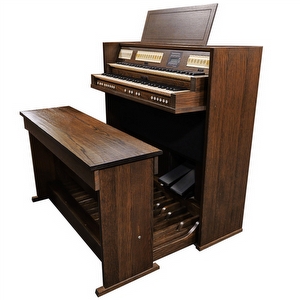 Johannes de Heer III Occasion Orgel 