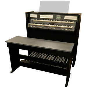 Johannes de Heer III Industrieel Occasion Orgel