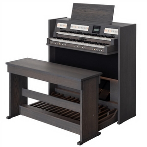 Johannes de Heer III Used Organ - Gray