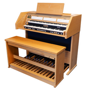 Johannes de Heer IV Light Oak - Used