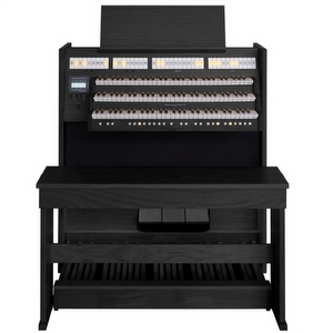 Johannes de Heer IX Zwart - Occasion