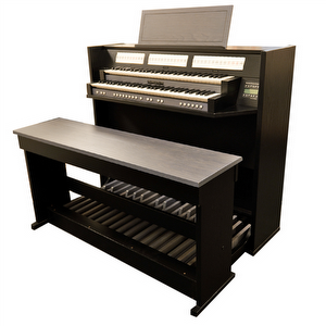 Johannes de Heer VII Industrieel Occasion Orgel