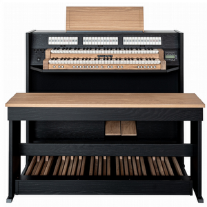 Johannes de Heer VII Robuust