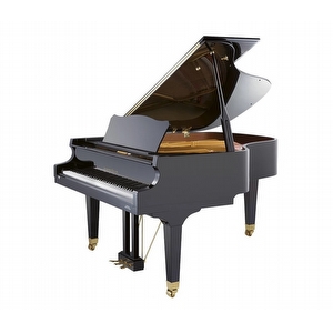 Johannes Seiler 186 Traditio Flügel Gebraucht