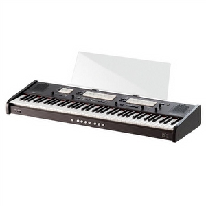 Johannus One Occasion Orgel