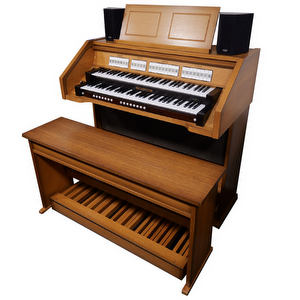 Johannus Opus 5 Occasion Orgel Pantine