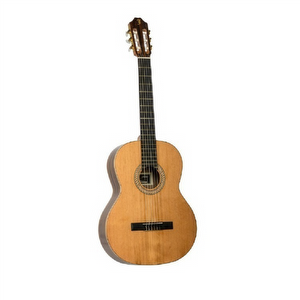 Juan Salvador 5C Classical Guitar