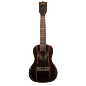 Kala KA-PX-EBY-C - Concert Ukulele