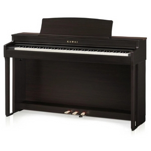 Kawai CN301 Digitale Piano - Rosewood