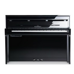 Kawai NV5S - Occasion