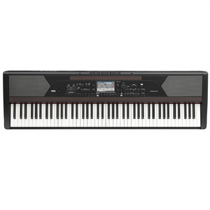 Korg Havian 30 - Used