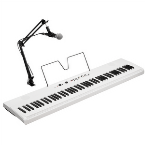 Korg Liano LIVE Streaming Piano