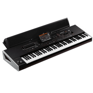 Korg PA4X-76 Musikant mit PAAS - Gebrauchtkeyboard 