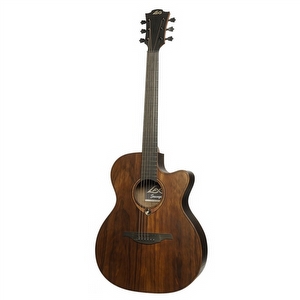 Lag Sauvage-ACE - Auditorium