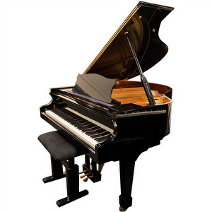 Ludwig&Hoff 160 Disklavier Vleugel